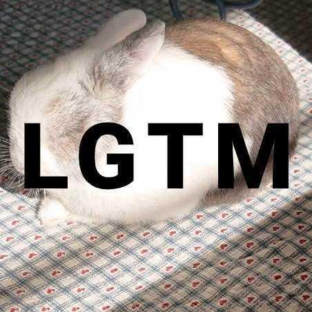 simple black LGTM picture sample