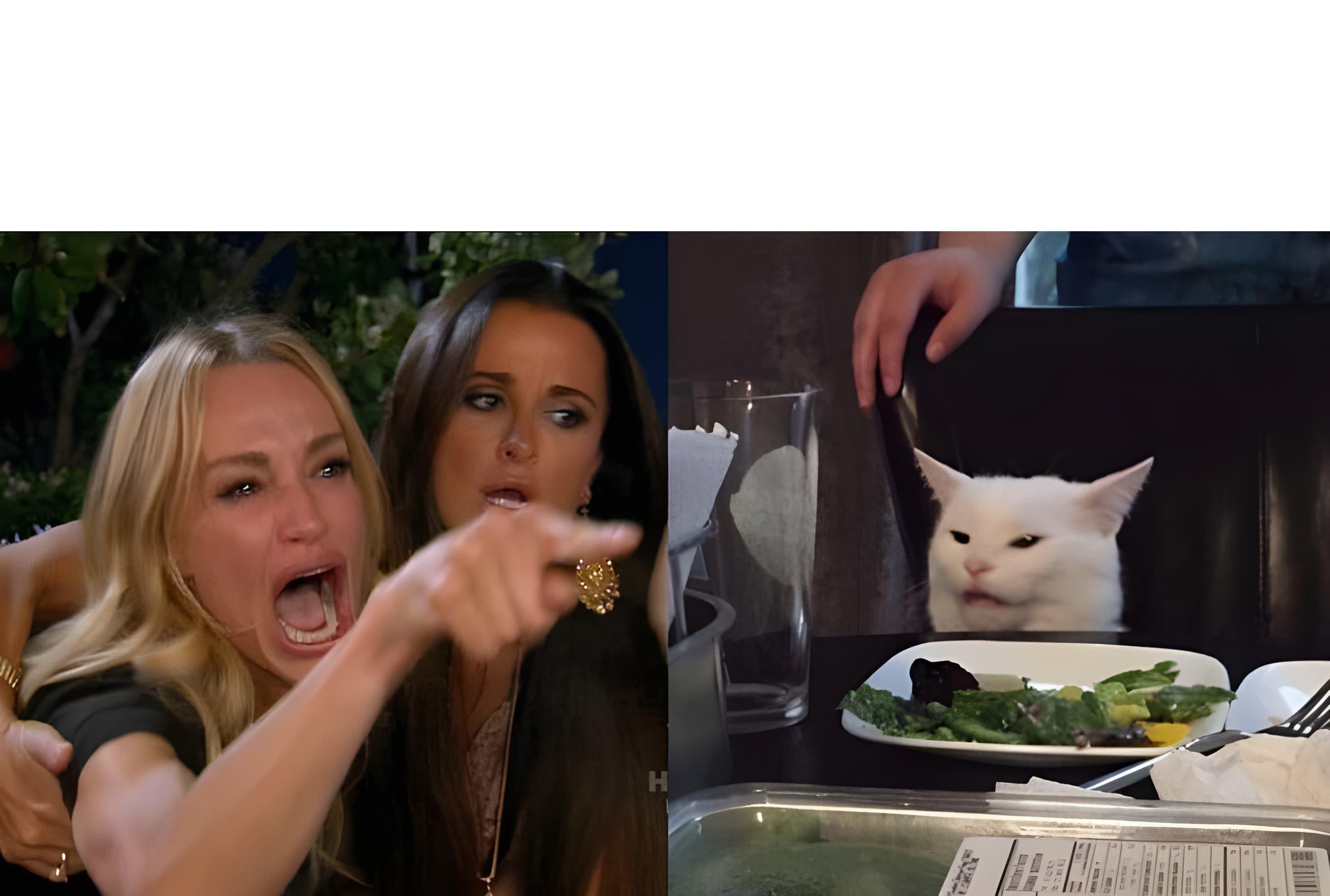 Woman Yelling at Cat Meme